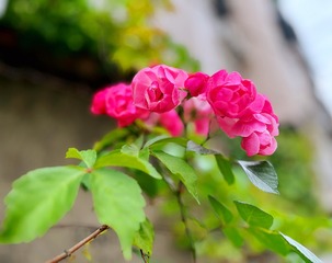 C78D7320-610B-4020-BBF7-D20AC055BA33/L0/001