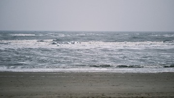 93B4E24A-809E-4320-8DD0-CA2A097F53BE/L0/001