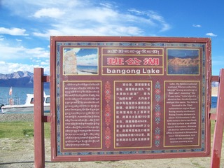 306449
