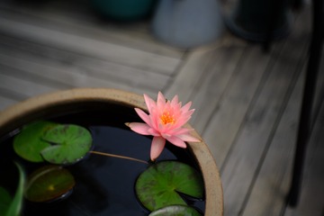 56405D83-B275-4AFE-A137-2BA0D8D0AC3B/L0/001