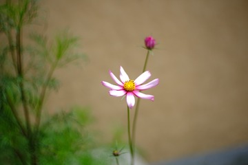60D105A0-74E1-49D9-969E-9DF43153D0D6/L0/001