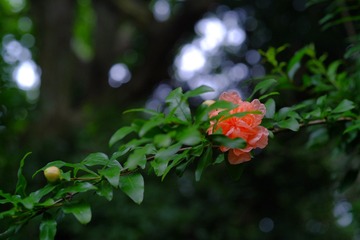 06BE6405-D46A-4C0D-AAB2-FA94389B7295/L0/001