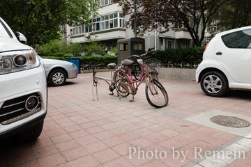 20160415-_DSC0278