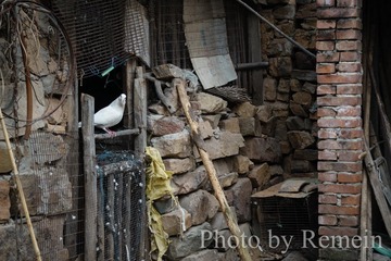 20160419-_DSC0489