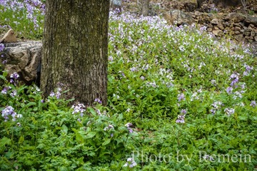 20160419-_DSC0508