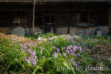 20160508-DSC00988