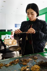 20161215-DSC05816