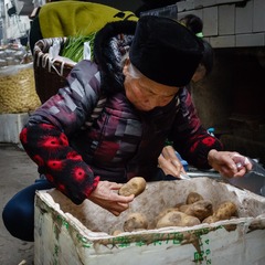20161216-DSC06300