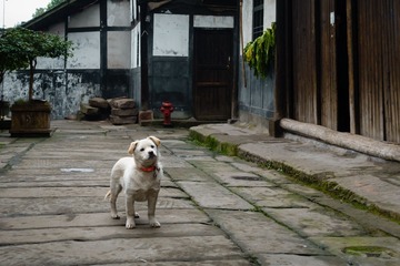 20161213-DSC04673