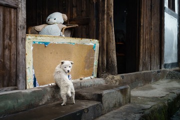 20161213-DSC04738