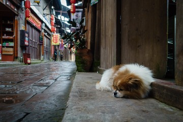20161214-DSC05205