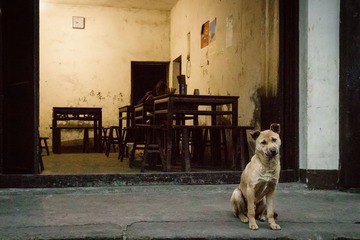 20161217-DSC07127-编辑