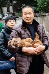 20161217-DSC07672