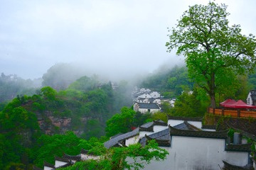 春雨细染山色翠