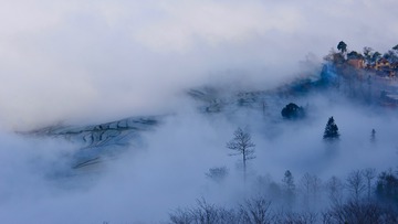 DYS_5773