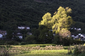 794762