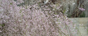 B1020852-2-