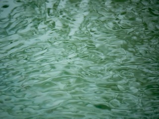 P1010074-