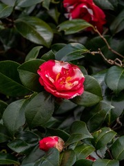 P1010041-