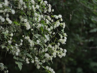 4AE84F1A-3055-4593-A039-7CC1EC0B0ABD/L0/001