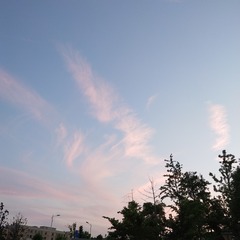 7A586BB4-2741-47CB-9D89-B6D9940EB8F7/L0/001