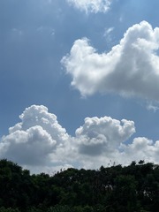 D5A5C44E-E730-40C8-80BA-ACD32D5F6C2F/L0/001