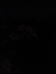 1148842