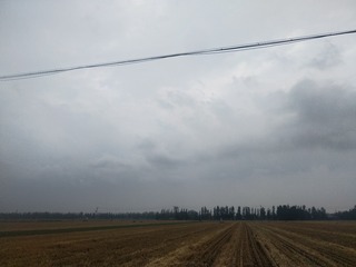 76003