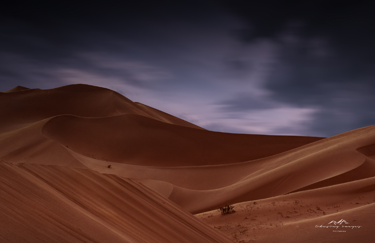 寂寞沙洲冷再广阔的美景也有孤独的存在