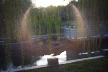 E0388558-D56B-4CD2-A4E9-125EA9C4FECF/L0/001