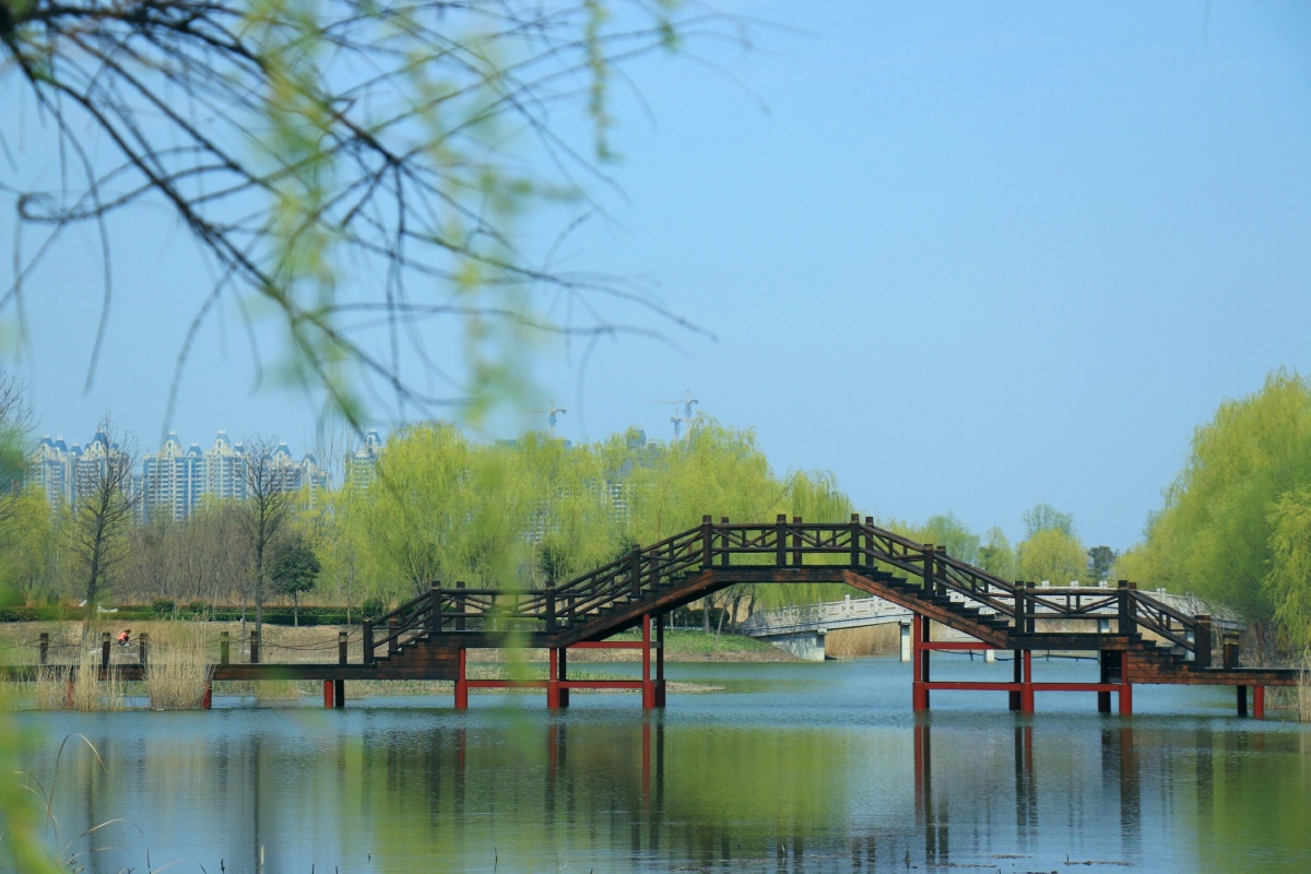 风帘翠幕烟柳画桥