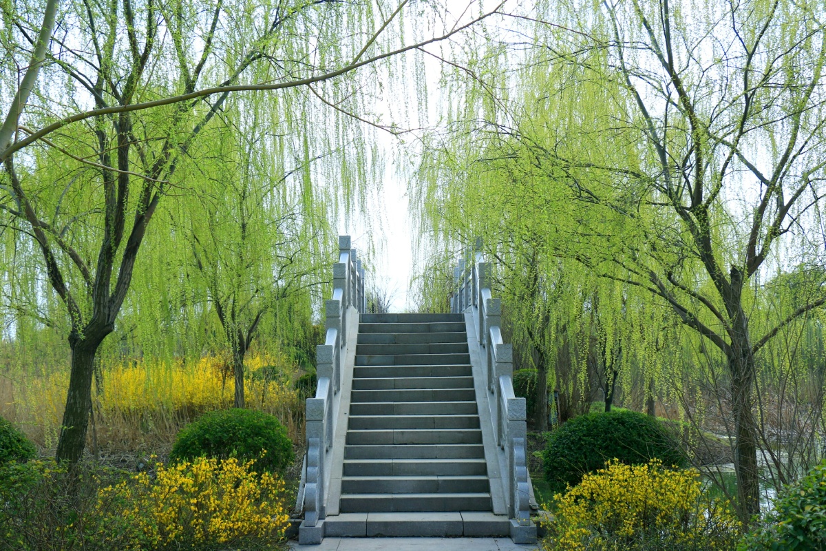 风帘翠幕烟柳画桥