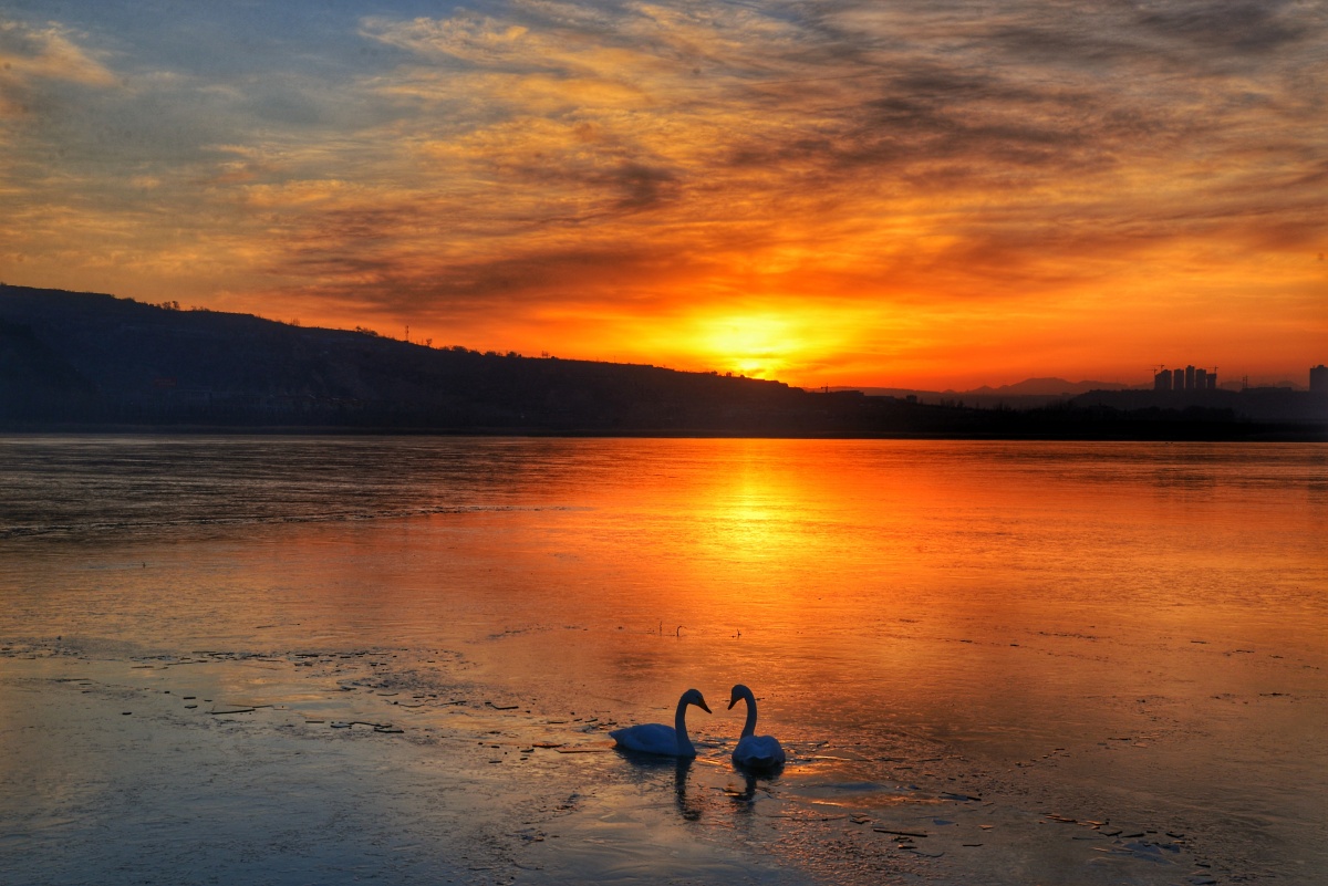 朝霞映红天鹅湖