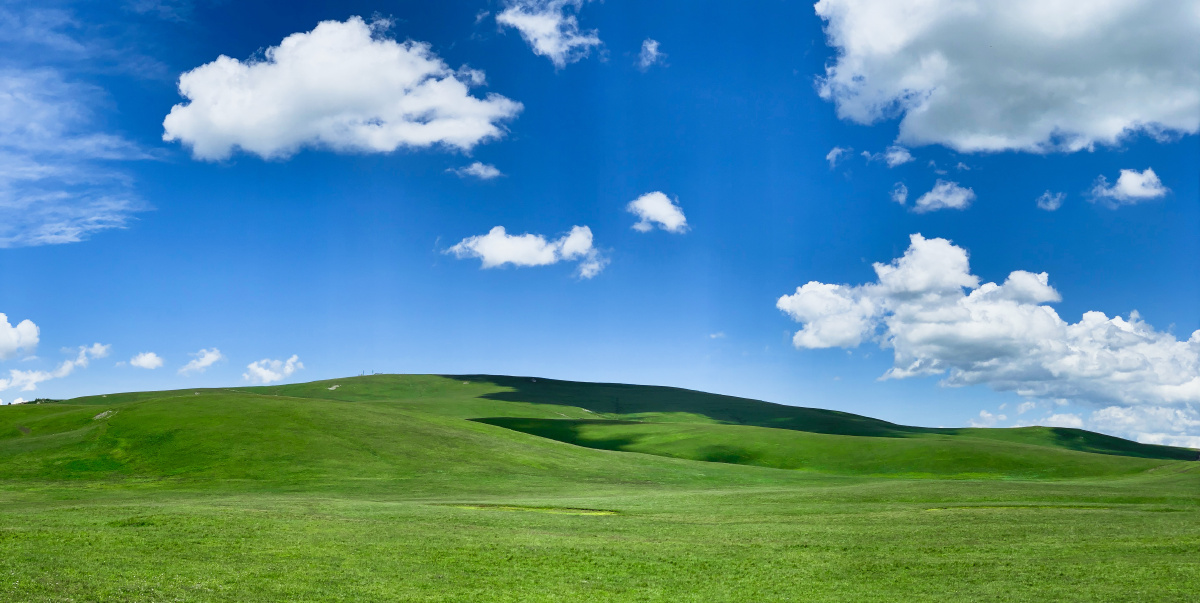 喀拉峻大草原xp桌面的即视感加上远处雪山和松林有过之而无不及