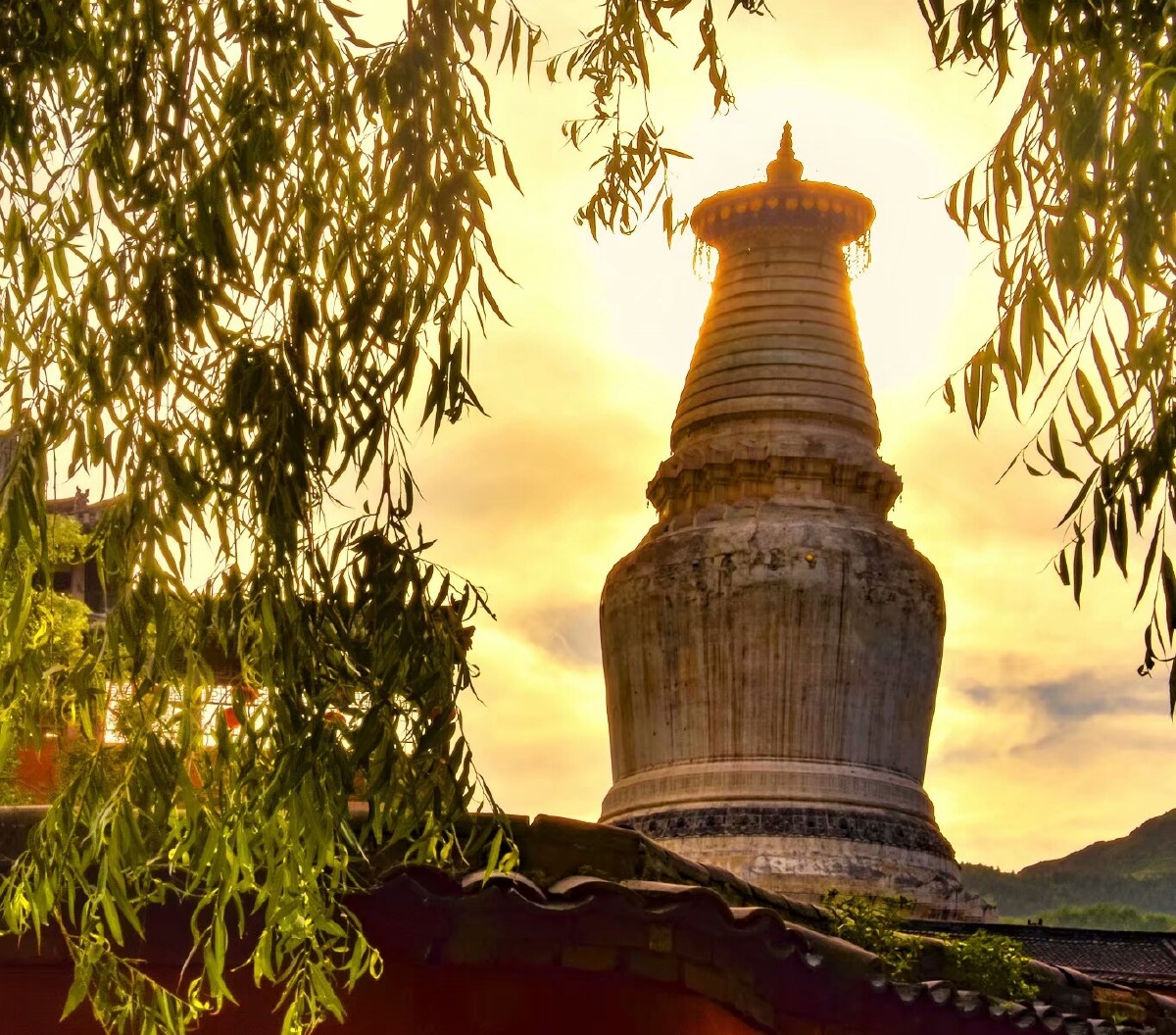 享有"南有九华金鼎寺,北有有五台白云寺"的美誉,其古老的文化历史悠久