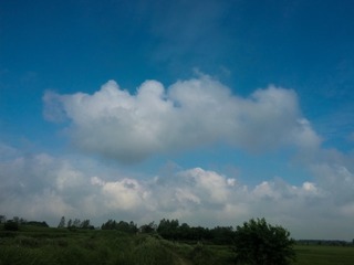 8D703E52-E7ED-47A5-85F6-8ADAF78E4B48/L0/001