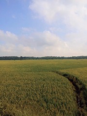 5E9DEB67-FEF7-401D-9625-9FAE084D4ACC/L0/001