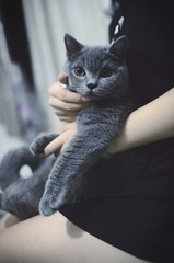 69430