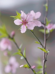 84273A96-E800-4D80-8D2B-407327DAEC01/L0/001