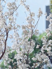 27820868-AE85-40B3-B913-FF207DDDCEBA/L0/001