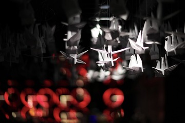 E97C09FD-90E1-4365-AD73-30022DEC8AF7/L0/001