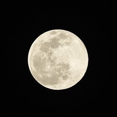 E59BD6E0-F82D-4781-BF0E-6CB93D804366/L0/001