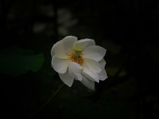 60B49EC2-D856-4CD5-9BF5-F7A2541A7AFD/L0/001