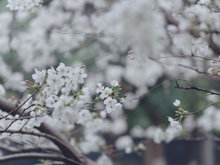 0E7D47EA-BE56-40C0-A25E-992D06E599A2/L0/001