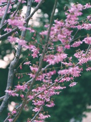 30E43B91-4B12-4E82-A106-3E913C43BF3E/L0/001