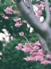 49AF4D75-31C7-4FCF-8CE4-36DAEBB3219F/L0/001