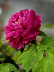 26E00222-1F77-4A0C-9954-F45F06F91035/L0/001