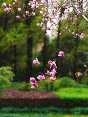 9F2F548E-3383-47D5-9728-CA9837B01E2A/L0/001