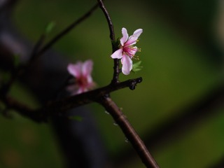 3727A8F5-13B8-4CB8-AEDE-1F889323A2AE/L0/001