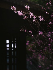 DC561DA4-DF72-4556-965E-F9DBEA8F57DC/L0/001